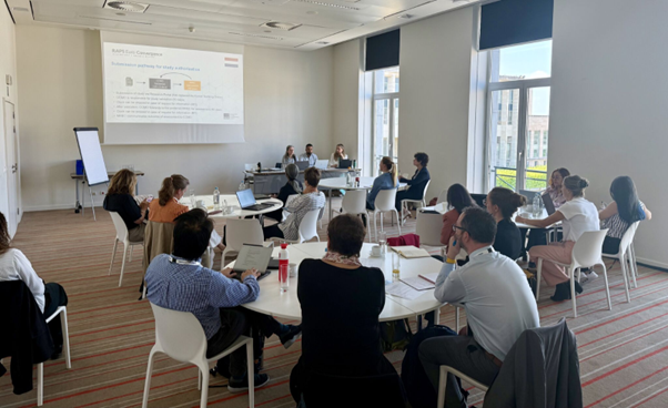 Pictured Above Kristiane Schmidt during the Pre-Conference Workshop
